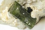 Verdelite Tourmaline, Albite & Muscovite Association - Brazil #217530-3